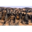 Región Sahara - Hogar, alebo Tahhagar, bol uzavretý 6 rokov. <br> Sopečné vetracie otvory sopiek zničených časom a pokryté pieskom