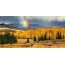 Bergen, bos en regenboog in de periode van de gouden herfst