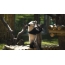 Хайуанаттар бағында үлкен панда