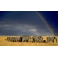 一群大象和一条彩虹