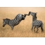 Zebras vechten