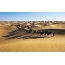Carovana di cammelli nel deserto di Takla Makan