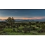Auringonlaskun kuva Serengetin kansallispuistossa
