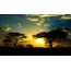 Auringonlasku Serengetissä
