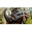 Шведийн гэрэл зурагчин Жон Холлмэн макро гэрэл зураг дээр Rhinoceros цох
