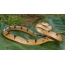 Keňský mačací had