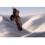 Buitre leonado en vuelo sobre montañas nevadas