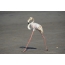 Урт хөлтэй эмэгтэй ягаан фламинго