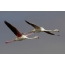 A pair of pink flamingos in flight