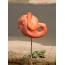 Roze flamingo staat op een poot