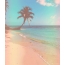 GIF foto: palmis, lanmè, plaj