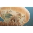 해파리와 물고기가있는 GIF 그림