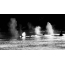 Foto GIF: një tufë balenash vrasësish