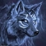 Шүлсний чоно зураг
