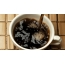 GIF картина на кафе