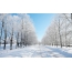 Fotos d'hivern: carretera d'hivern