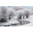 Fotografije zimske prirode