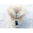 Felix Polar Bear ni Zoo Roev Ruchey ni Krasnoyarsk