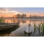 Eenzame zwaan. Wit-Rusland, Ivie district, in de buurt van het dorp Zhemyslavl