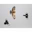 Srake lovijo kobilico, zaliv Golden Horn, Vladivostok
