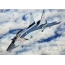 Φωτογραφία MiG-31