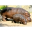 Vrouwelijke hippo met welp