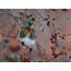Snowbird photo super montem cinis