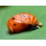 Ladybug қуыршағы