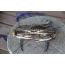 Blå krabbe (Callinectes sapidus)