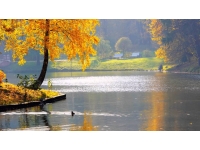 Lakes in autumn