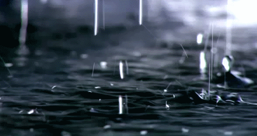 Raindrops fall into a puddle