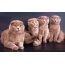 Scottish Fold cat with kittens
