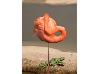 Pink flamingo: