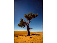 Sahara: deserts